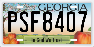 GA license plate PSF8407