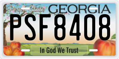 GA license plate PSF8408