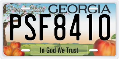 GA license plate PSF8410