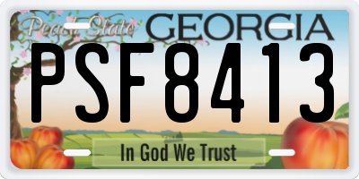 GA license plate PSF8413