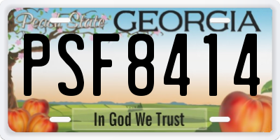 GA license plate PSF8414