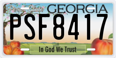 GA license plate PSF8417