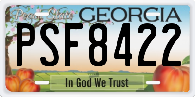 GA license plate PSF8422
