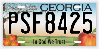 GA license plate PSF8425