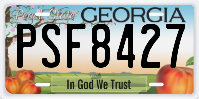 GA license plate PSF8427