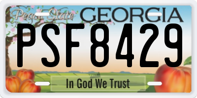 GA license plate PSF8429