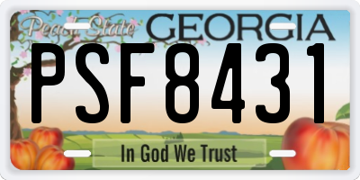 GA license plate PSF8431
