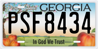 GA license plate PSF8434