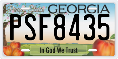 GA license plate PSF8435