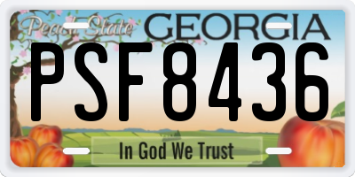 GA license plate PSF8436