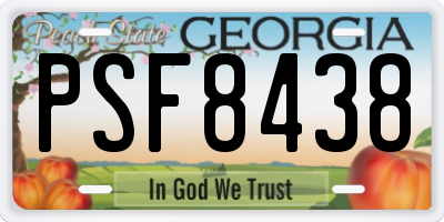 GA license plate PSF8438