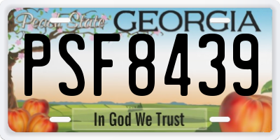 GA license plate PSF8439