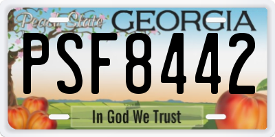 GA license plate PSF8442