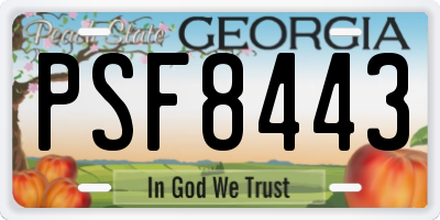 GA license plate PSF8443