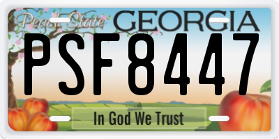 GA license plate PSF8447
