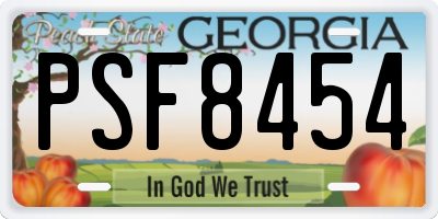 GA license plate PSF8454