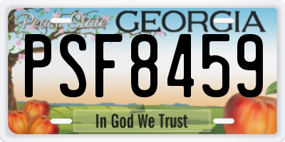 GA license plate PSF8459
