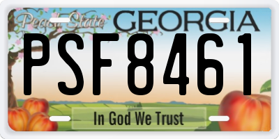GA license plate PSF8461