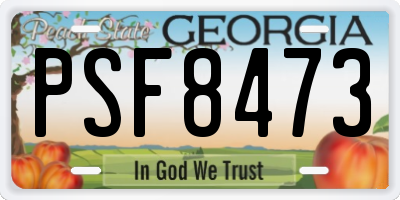 GA license plate PSF8473