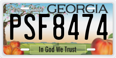 GA license plate PSF8474