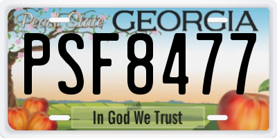 GA license plate PSF8477