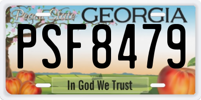 GA license plate PSF8479