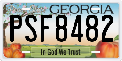 GA license plate PSF8482