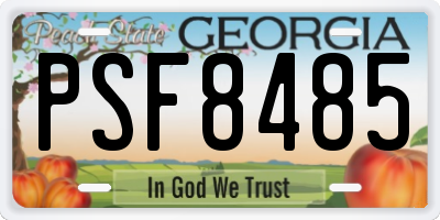 GA license plate PSF8485