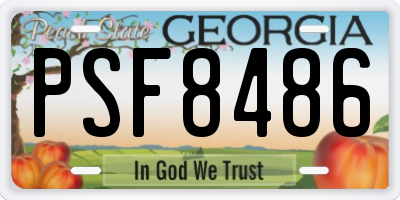 GA license plate PSF8486