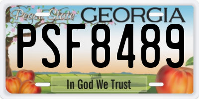 GA license plate PSF8489