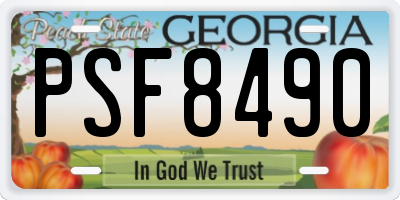 GA license plate PSF8490