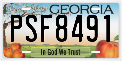 GA license plate PSF8491