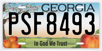 GA license plate PSF8493