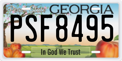 GA license plate PSF8495