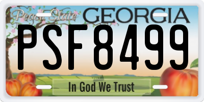 GA license plate PSF8499