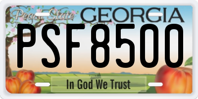 GA license plate PSF8500