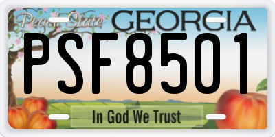 GA license plate PSF8501