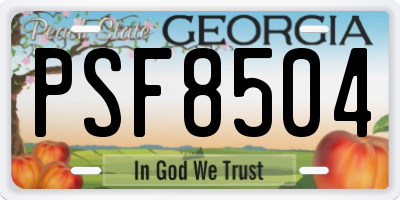 GA license plate PSF8504