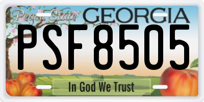 GA license plate PSF8505