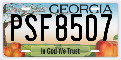 GA license plate PSF8507