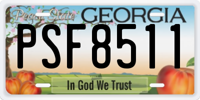 GA license plate PSF8511