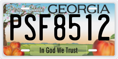GA license plate PSF8512