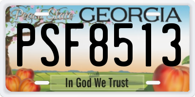 GA license plate PSF8513