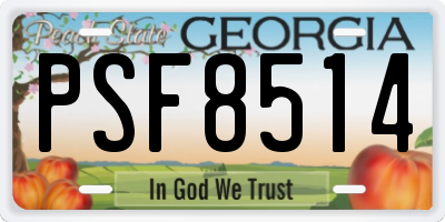 GA license plate PSF8514