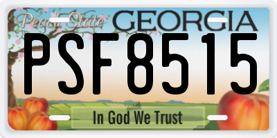 GA license plate PSF8515