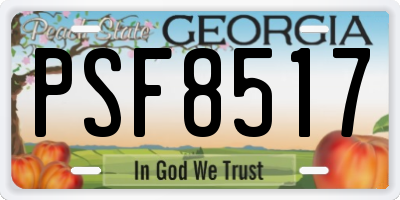 GA license plate PSF8517