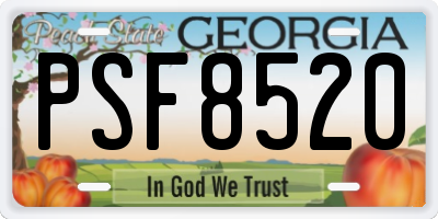 GA license plate PSF8520