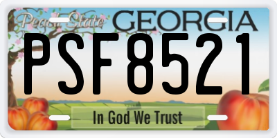 GA license plate PSF8521