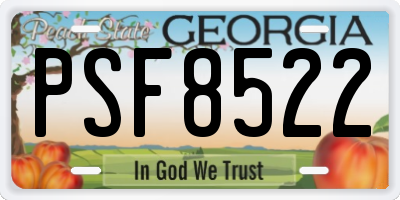 GA license plate PSF8522