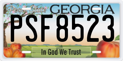 GA license plate PSF8523